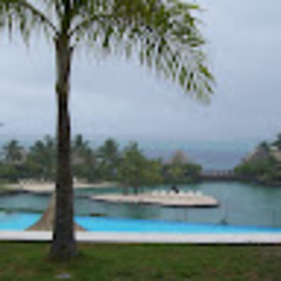 Meet your Posher, Alice - Picture 1 of 1